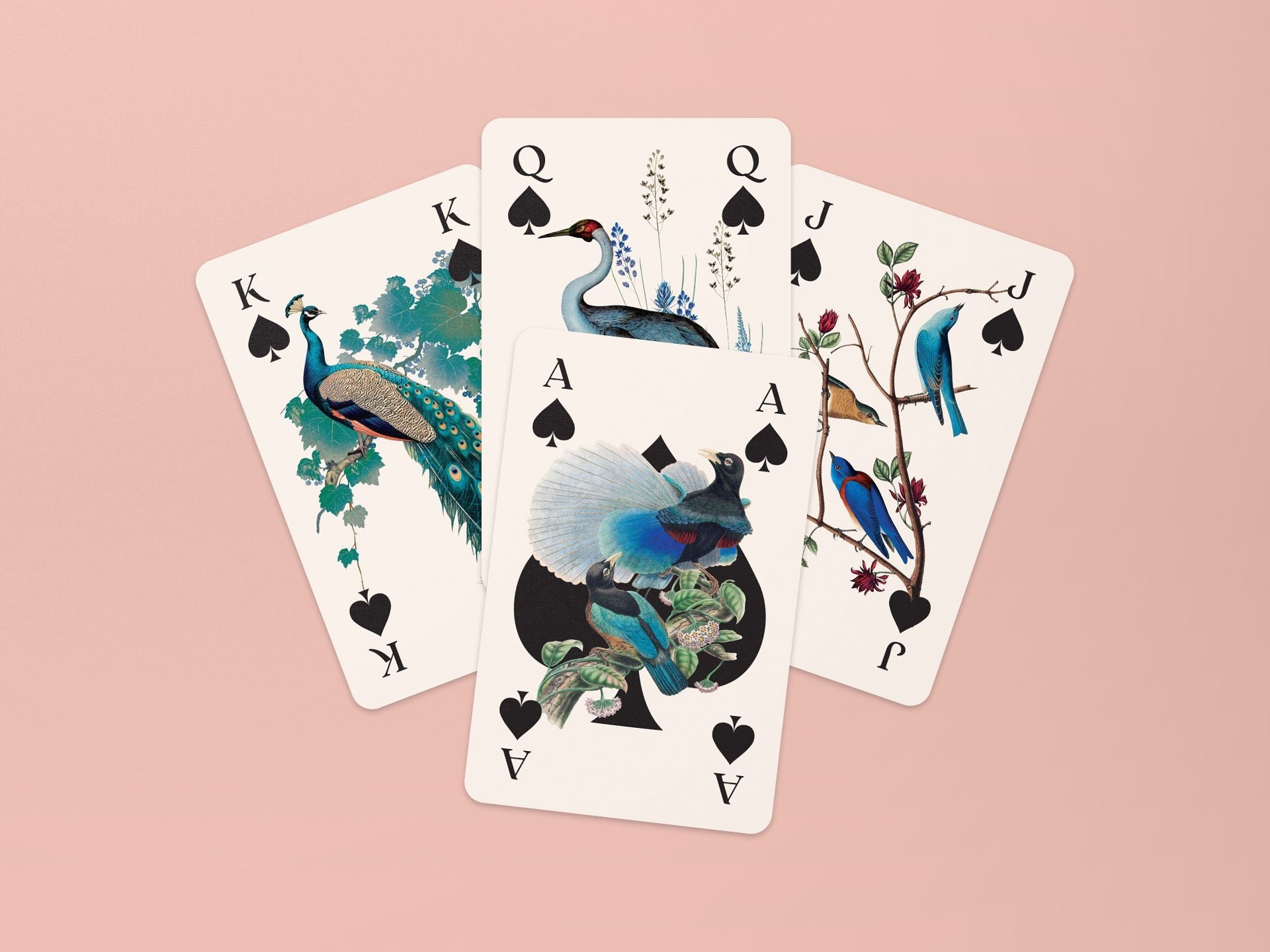 Mini Card Game - Birds