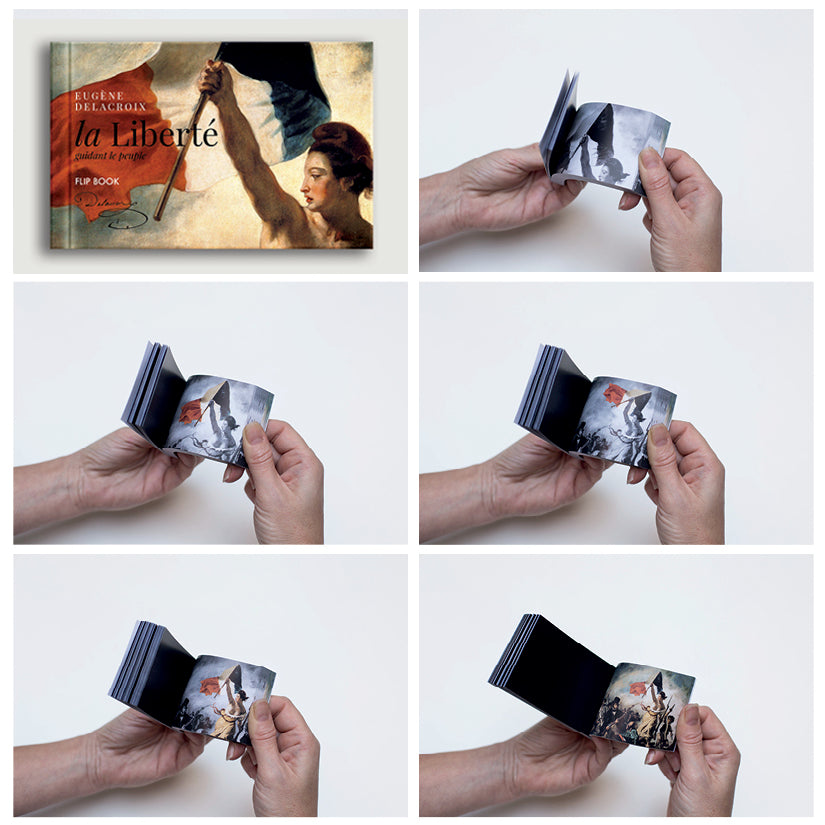 Collection Delacroix