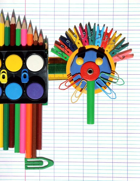 Carnet Maron Bouillie - Drôles de bêtes